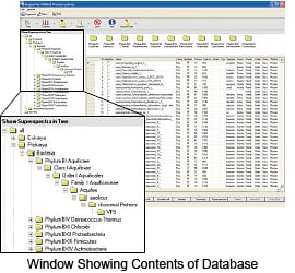 Sample of database