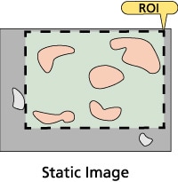 Area Ratio Measurements