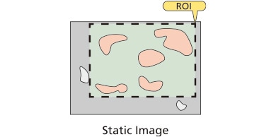 Static Image