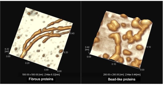 Observation of Proteins