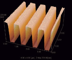 Example of the observation of the height aspect of lines and spaces via carbon nanotubes