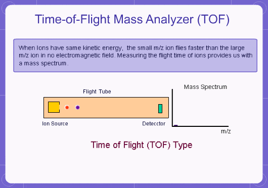 Time-of-Flight Mass Analyzer