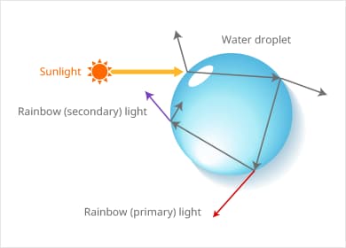 Fig. 1 Refraction and Reflection within a Water Droplet