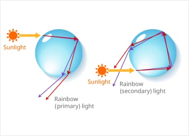 Fig. 2 Red and Violet Light Emerging from a Water Droplet