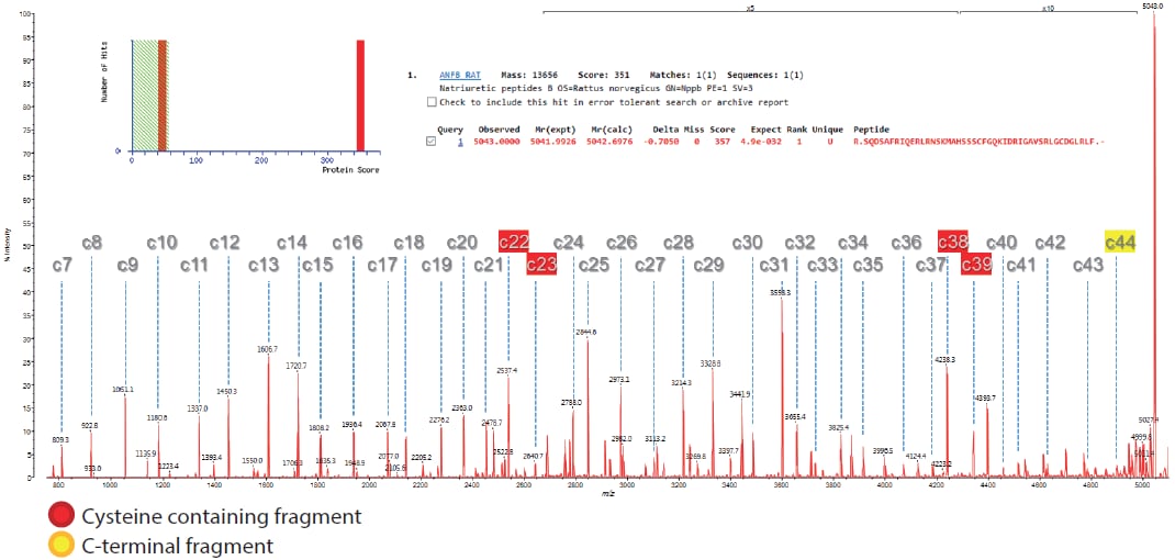 ISD Spectrum of BNP Obtained by MALDI-TOF MS