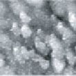 Fig.1 (□185.6nm) Co surface before CO blowing