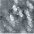 Fig.5 (□185.6nm) Co surface during CO blowing