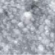 Fig.14 (□185.6nm) Pt surface during CO blowing