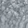 Fig.4□185.6nm) Ni surface before CO blowing