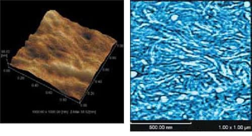 3D Image (Left) and Elasticity Image (Right) of Polyethylene Film Surface