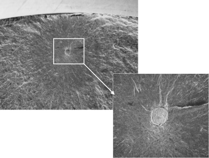 Example of the fatigue fracture surface of high-strength steel fractured by the Shimadzu USF-2000 Ultrasonic Fatigue Testing System