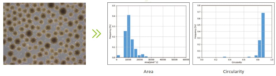 Set data analysis goals