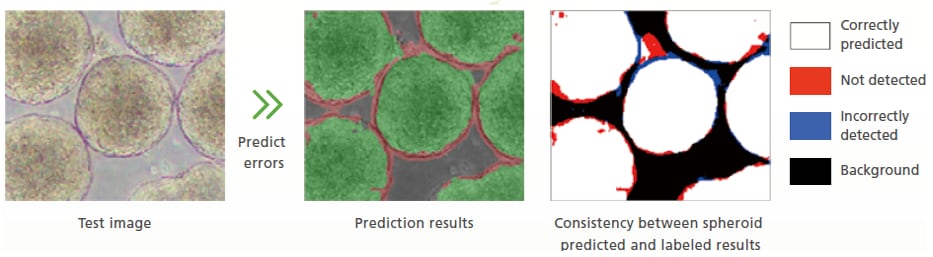 Train AI model and assess performance