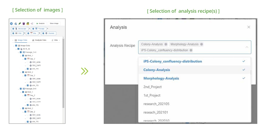 Batch analysis can be performed on cell culture management screen