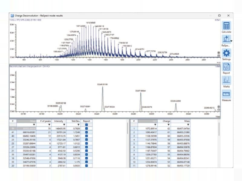 Multi-charged ion analysis algorithm for compounds with high molecular weight