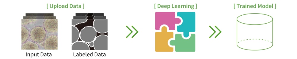 Learning workflow when the analysis target is image data