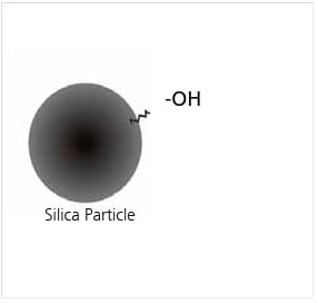 SI