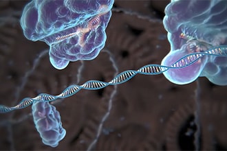 Protein Expression Analysis