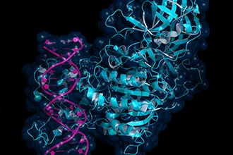 Post-Translational Modification Analysis