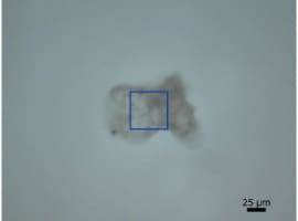 Image of Contaminant Microscope Image of Microplastic