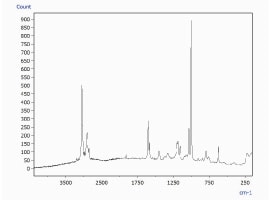 Raman Spectrum of 1 μm Diameter Microbead Identified as Polystyrene
