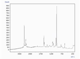 Raman Spectrum of 1 μm Diameter Microbead Identified as Polystyrene