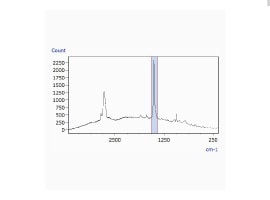 Chemical Image Created from Peak Area Values between 1383 and 1510 cm-1