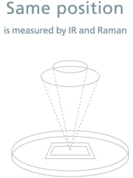 Both FTIR and Raman Spectra Can Be Measured without Moving Samples