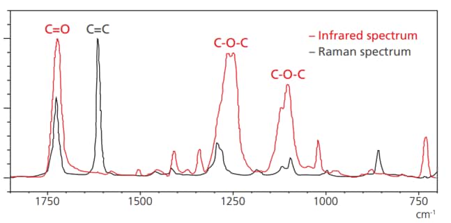 Infrared and Raman spectra of polyester