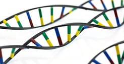 Genomics, Genetics
