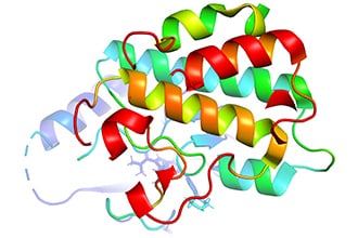 N-linked glycosylation