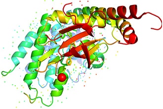 O-linked glycosylation