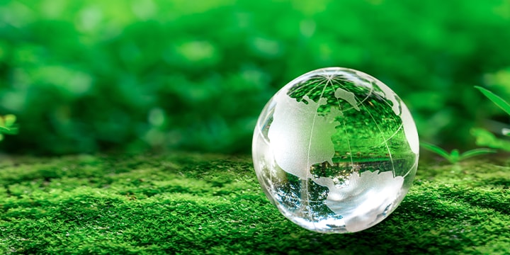 Biomass Fuels
