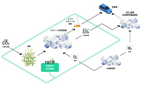 raBit activities