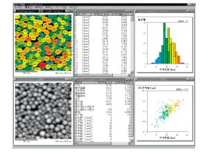Particle Analysis Software