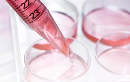Cell Culture Profiling Method Package for the LCMS-2050