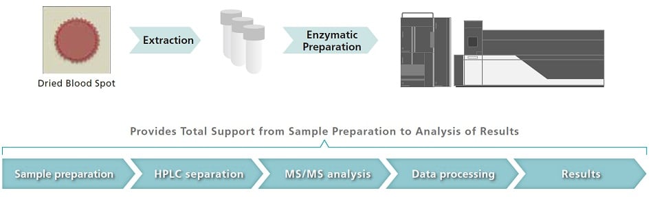 Workflow from analyte extraction from dried blood spot to LC/MS/MS analysis