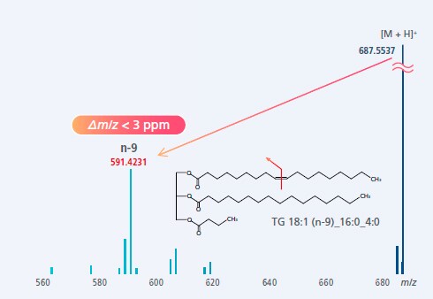 The high mass accuracy achieved with the LCMS-9050 remains unchanged even with OAD. High-quality MS/MS data within ±3 ppm enables reliable structure estimation of compounds, including determination of the position of carbon-carbon double bonds.