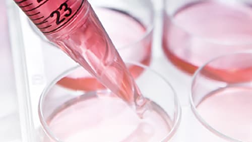 Cell Culture Profiling for LCMS-2050