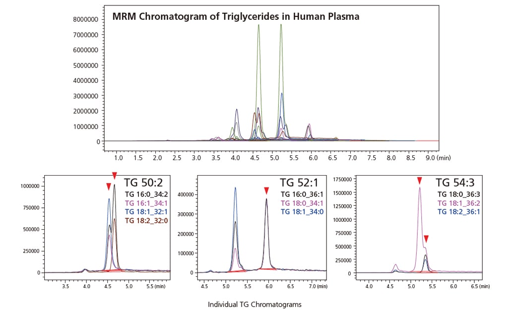Individual TG Chromatograms
