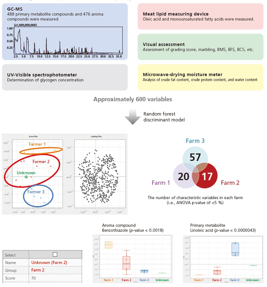 Discriminant Analysis of Beef Meats