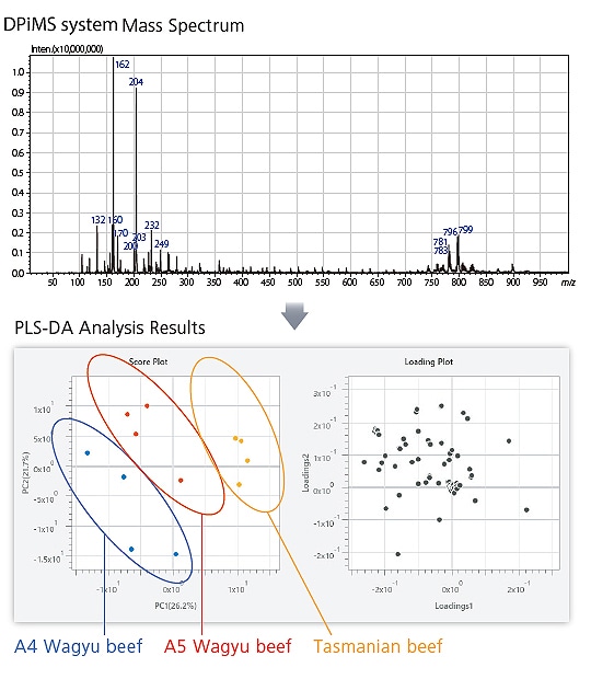 Easy Differentiation for Beef Classification