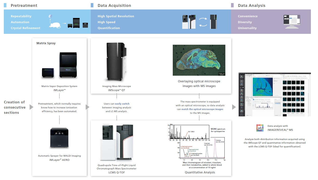 Key Points for MS Imaging