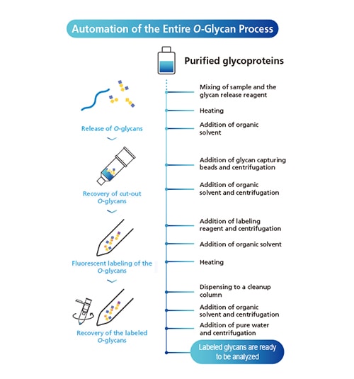 O-Glycan Upgrade Kit