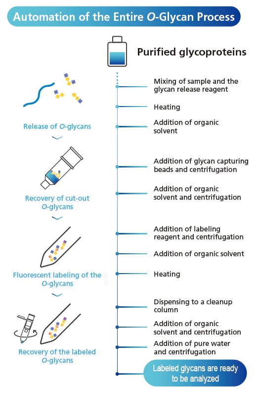 O-Glycan Upgrade Kit