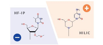 Analysis Functions for Each Ionization Polarity