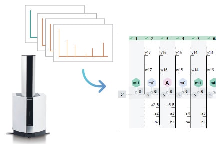 Efficient Analysis of MALDI Spectra