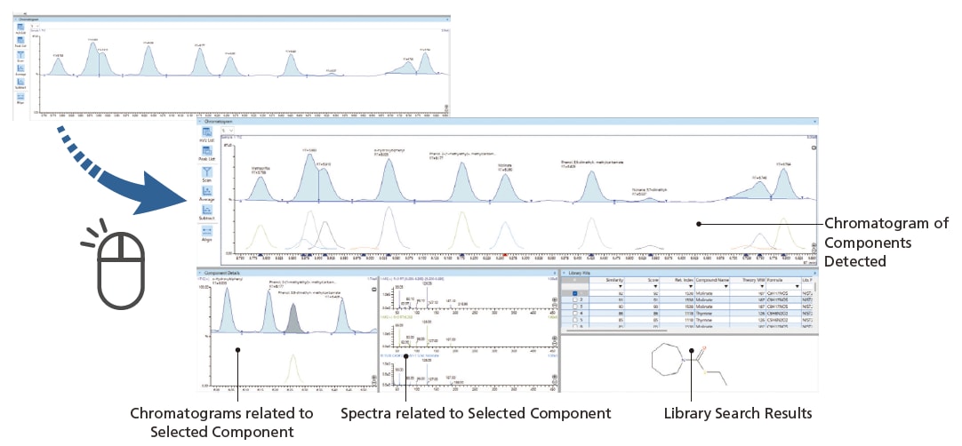 Software Support Ranging from Qualitative to Quantitative Analysis