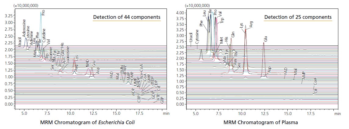 MRM Chromatogram of Escherichia Coli , MRM Chromatogram of Plasma