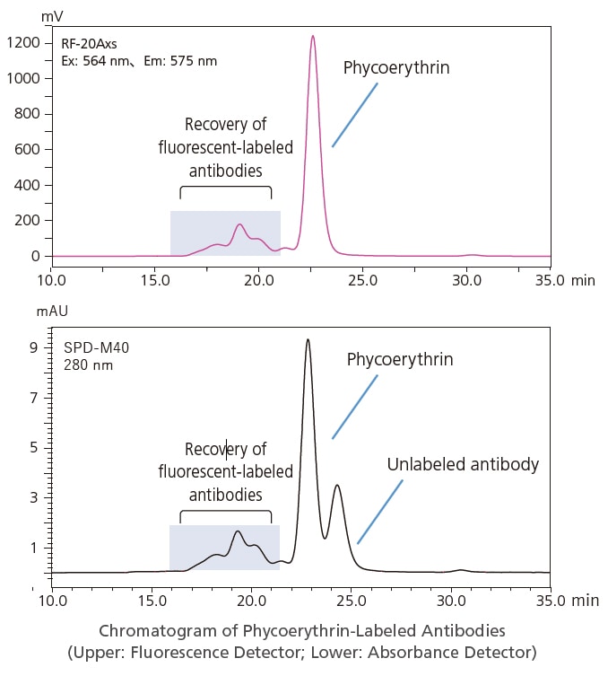 Chromatogram of Phycoerythrin-Labeled Antibodies (Upper: Fluorescence Detector; Lower: Absorbance Detector)